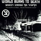 Текст музыкального трека — переведено на русский Night Without End. World Burns To Death